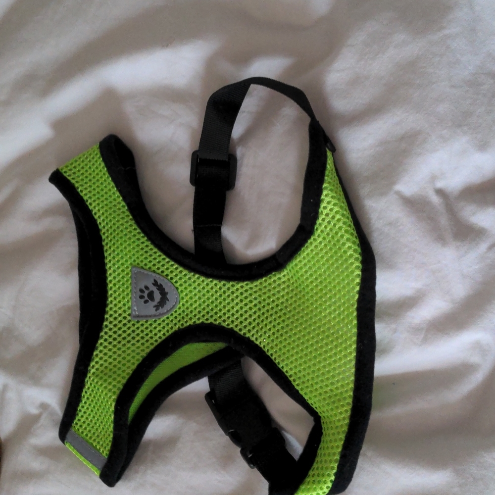 NWOT Neon green harness and leash - Picture 1 of 8